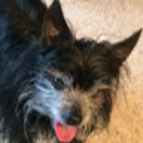 Meet your Posher, Peggie - Picture 1 of 1